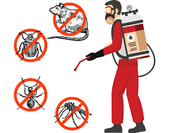 Pest Control Service